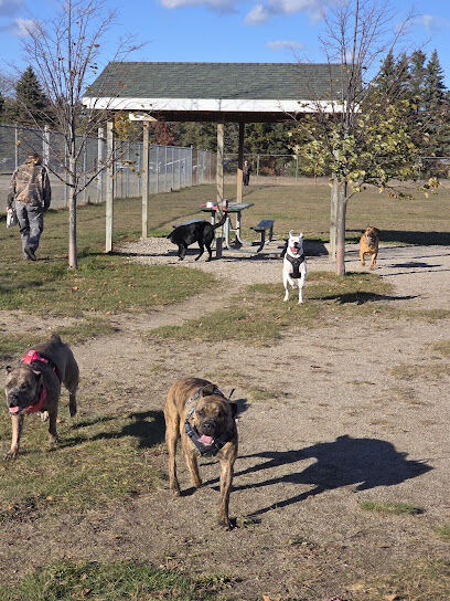 Cadillac Dog Park