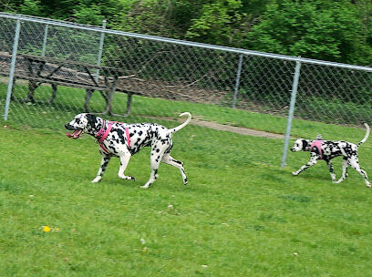 Cedar Springs Dog Park (in Riggle Park)