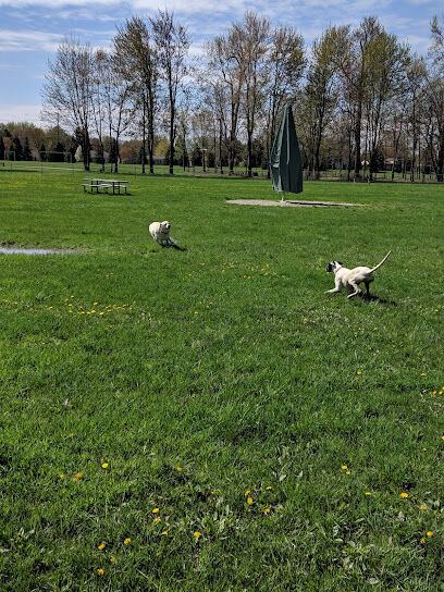 Civic Center Park-Dog Park
