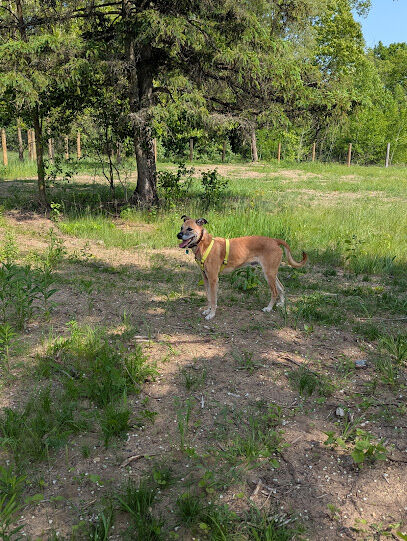 Victory Dog Park