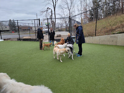 The Pack Indoor Dog Park, Restaurant and Bar