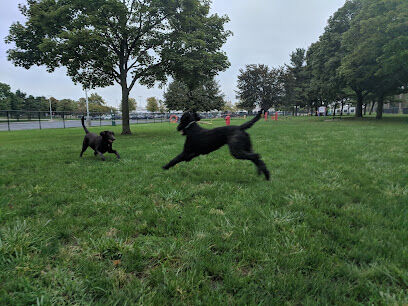 Dearborn Dog Park (Members Only)