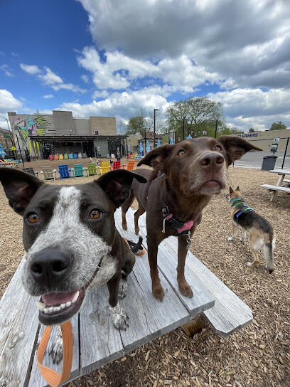 Barkside Detroit