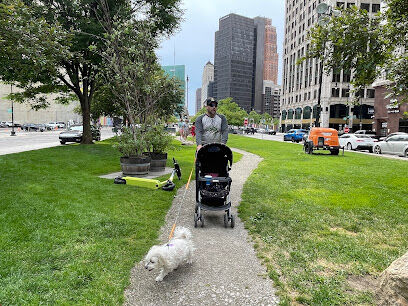 Cadillac Square Dog Park