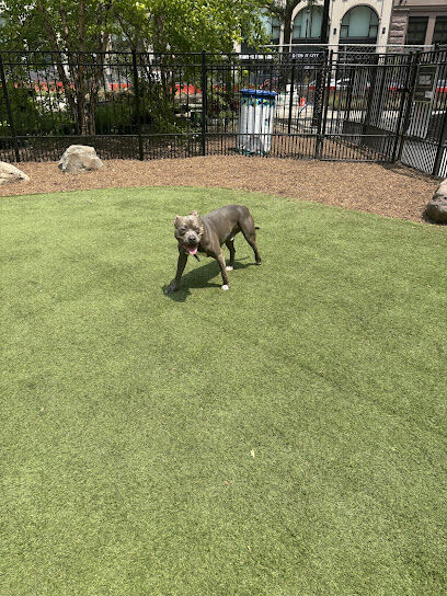 Capitol Park Dog Park
