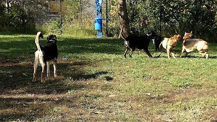 Detroit Dog Park