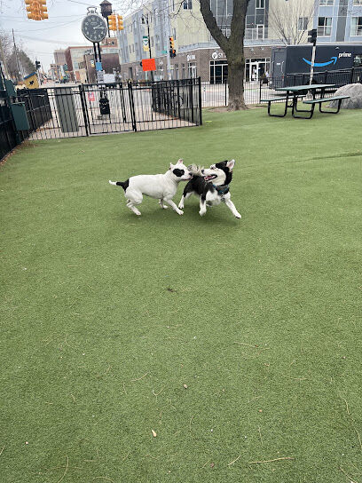 Midtown Dog Park