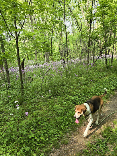 Padgett Dog Park