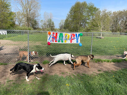 Island City Dog Park