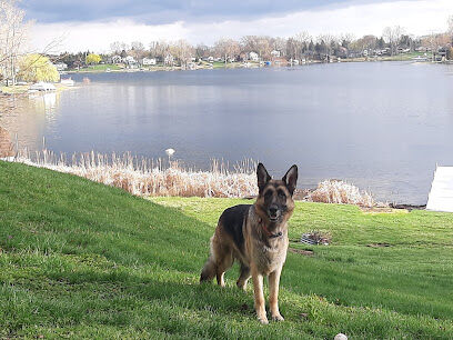 Thompson Road Regional Dog Park