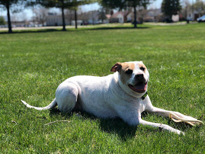 Ferndale Dog Park (Membership Required)