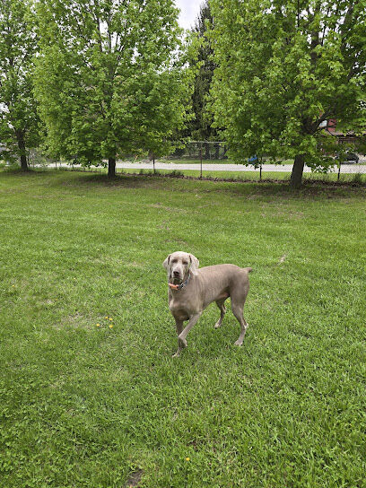 Amy/Jerry's 2 Acre Fully Fenced Private Dog Park