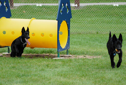 Memorial Park Dog Park (Hund Platz)