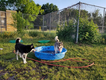 Covell Dog Park