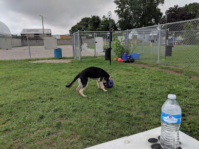 Dog Park