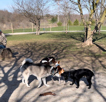 Dog Park at Van Raalte Farm Park