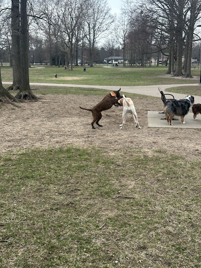 Large Dog Park at Quincy Park