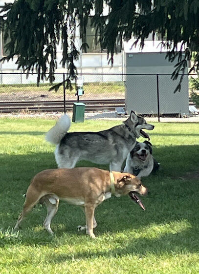 Betty’s Dog Park
