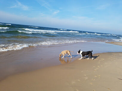 Kruse Park Dog Beach