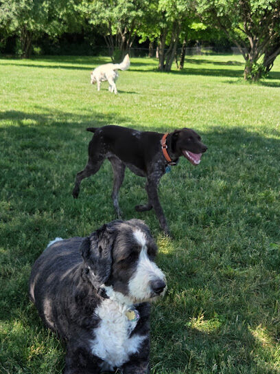 Northville Dog Park