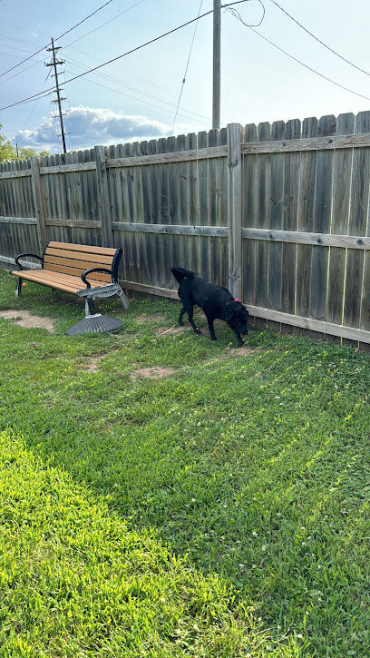 Lincoln Dog Park