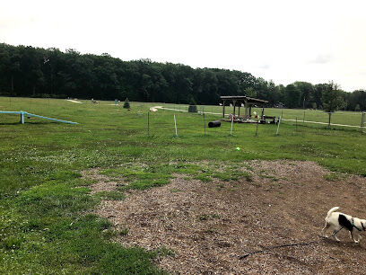 Markey Memorial Dog Park