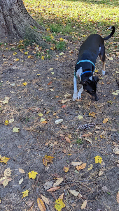 Tails n' Trails Dog Park