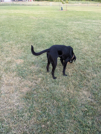 Sparta Buth Field Dog Park
