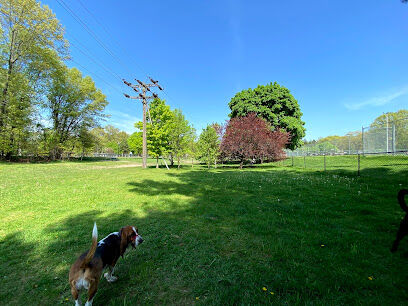 Marv's Bark Park - Dog Park