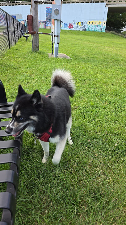 Three Rivers Dog Park