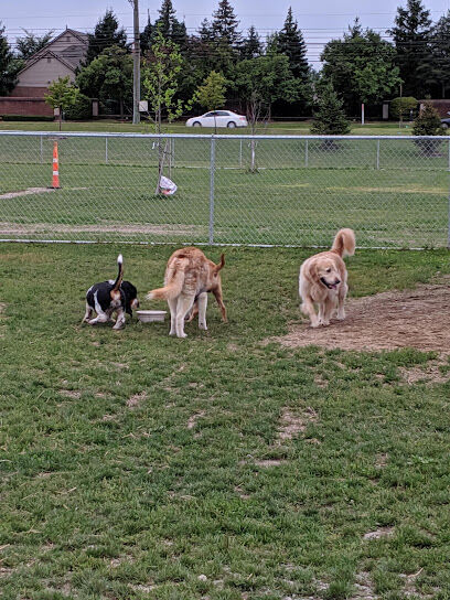 Daisy Knight Dog Park