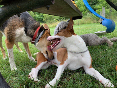 Northfield Township Dog Park