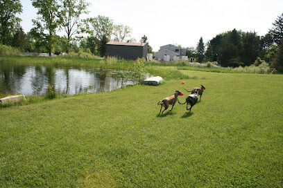 Joey's Pet Outfitters Dog Park