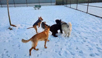 Wyandotte Dog Park