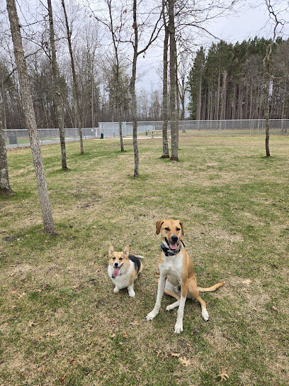 Baxter dog park