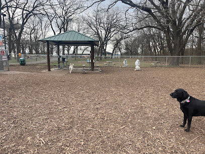 Swanson Dog Park