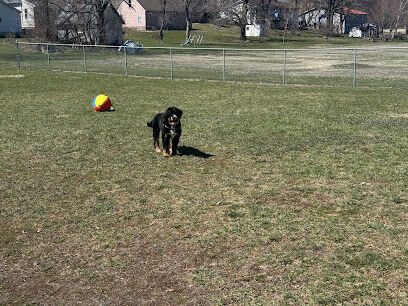 Dog Park