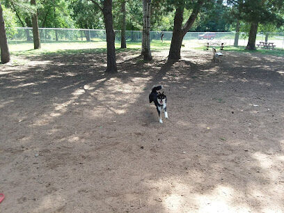 Buster Park- A Playground for Dogs