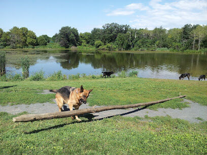 Alimagnet Dog Park