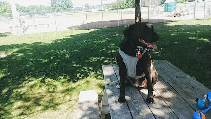 Cannon Falls Dog Park