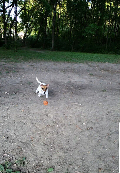 Chisago City Dog Park