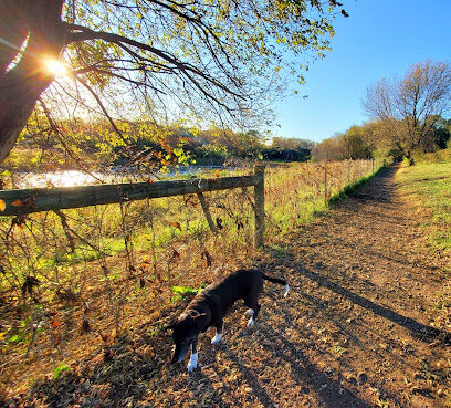 WAG Farms Dog Park