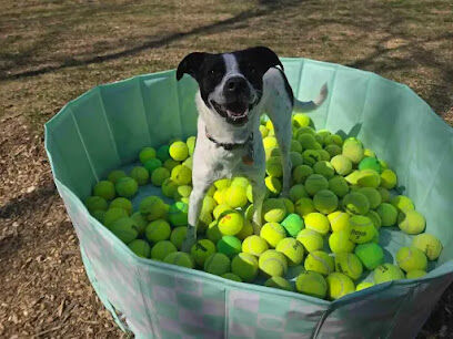 Crystal Sniffspot- PRIVATE RENTAL Dog Park