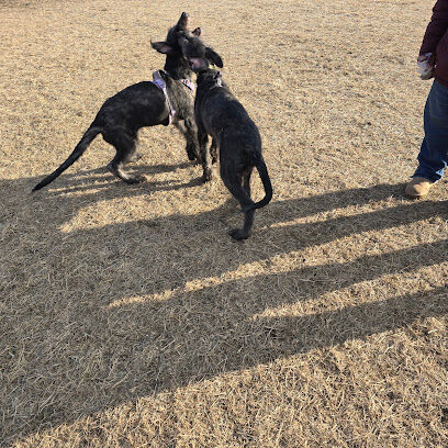 Dundas Dog Park