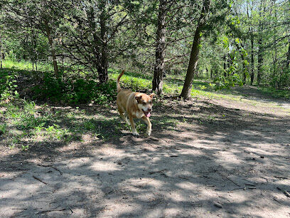 Staring Lake Park Off-Leash Dog Exercise Area