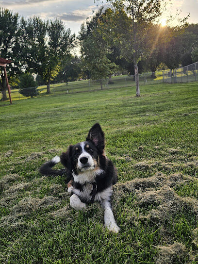 Fairmont Dog Park