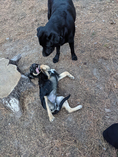 Grand Rapids Dog Park