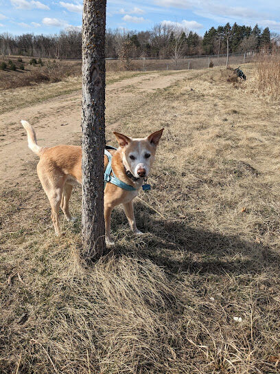 Lake Elmo's Pup Park