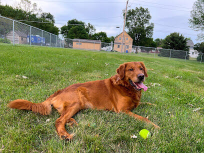 Centennial Park Dog Park