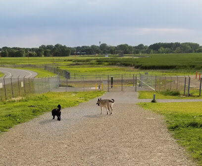 Airport Dog Park 1